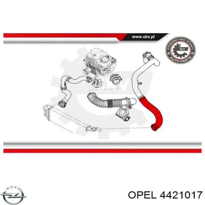 4421017 Opel Трубка, що нагнітається