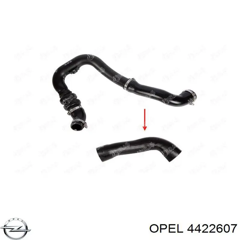 4422607 Opel шланг/патрубок системи охолодження