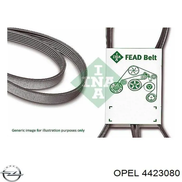 Клиновий ремінь Opel 4423080 ціна, від 21.33 USD