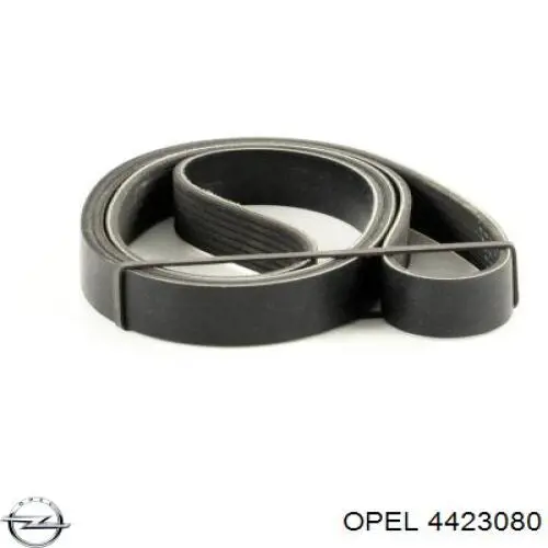 Купити 4423080 Opel Ремінь генератора