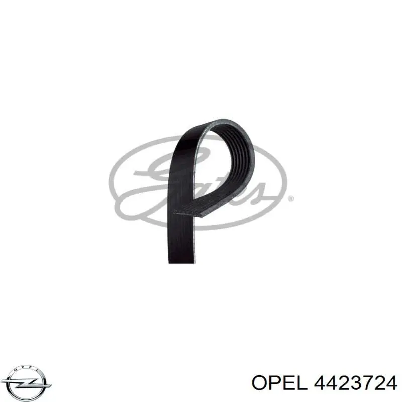 Купити 4423724 Opel Ремінь генератора