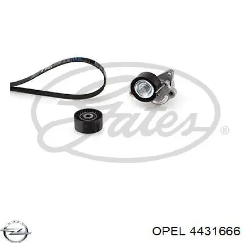 4431666 Opel ремінь приводний, агрегатів, комплект