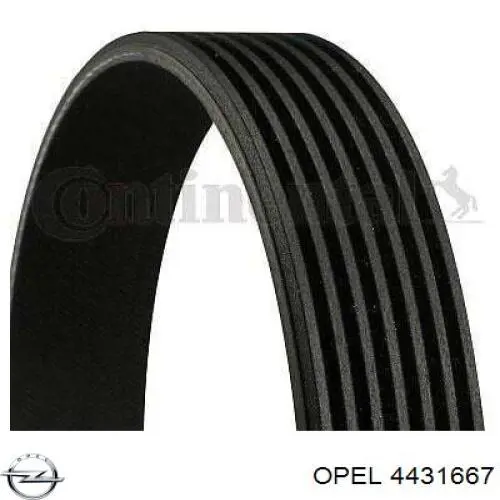 Купити 4431667 Opel Ремінь генератора