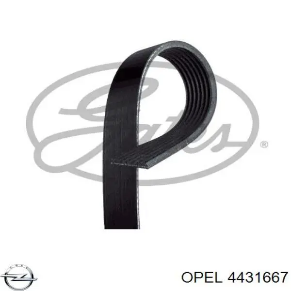 4431667 Opel ремінь приводний, агрегатів