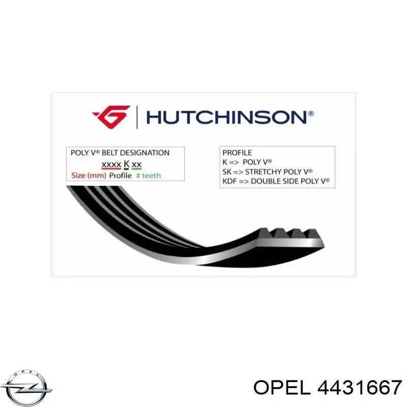 Клиновий ремінь Opel 4431667 ціна, від 19.39 USD