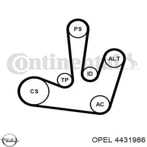 Ремінь приводний, агрегатів, комплект Opel 4431986 ціна, від 75.05 USD