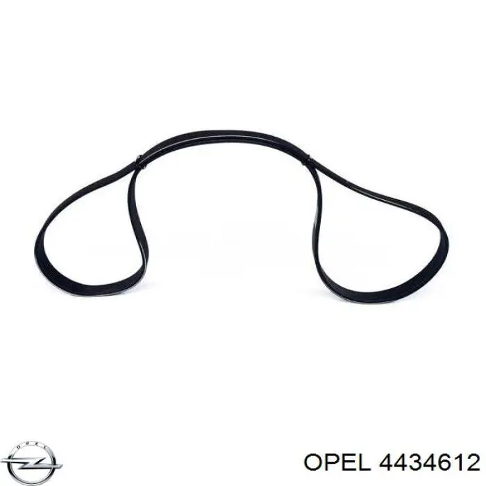 Купити 4434612 Opel Ремінь генератора