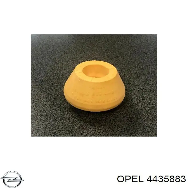 Купити 4435883 Opel Трубка паливна, зворотня від форсунок