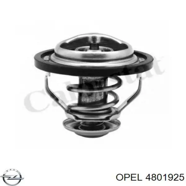  General Motors 96868338