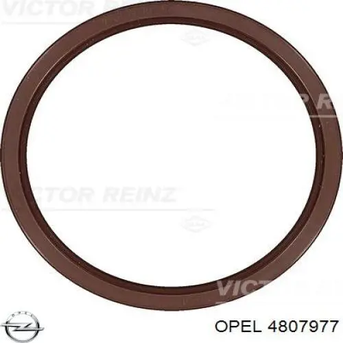 Купити 4807977 Opel Сальник колінвала задній