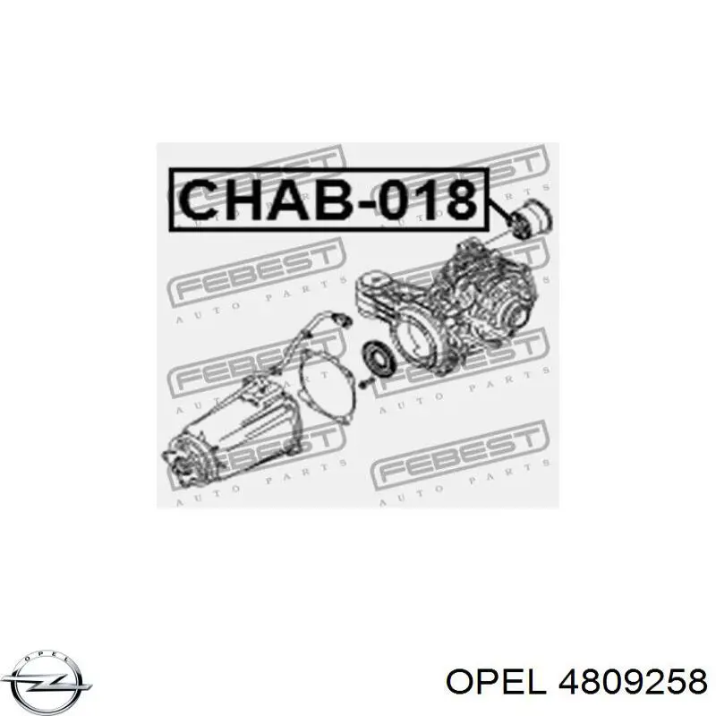 4809258 Opel Сайлентблок (подушка) редуктора заднього моста, задній