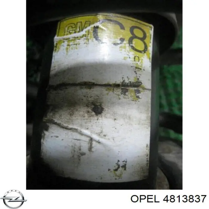 Амортизатор передньої підвіски, лівий Opel 4813837 ціна, від 58.84 USD