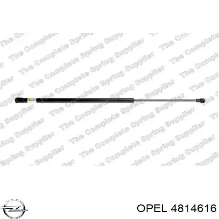 Амортизатор двері задньої Opel 4814616 ціна, від 14.99 USD