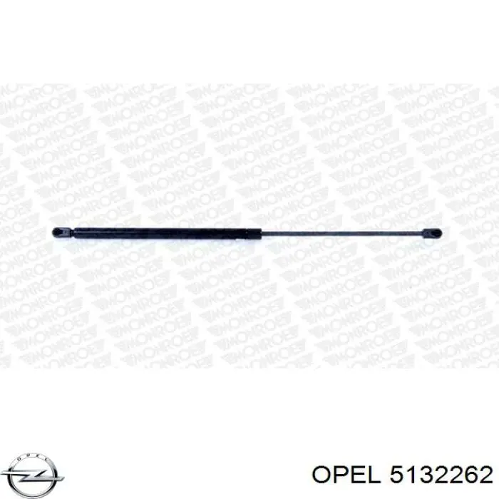 Амортизатор двері задньої Opel 5132262 ціна, від 10.72 USD