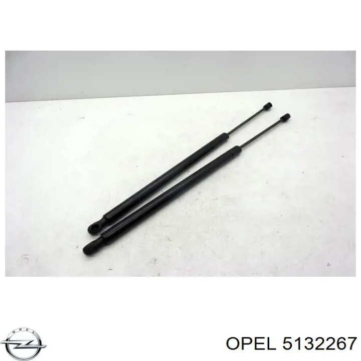 Амортизатор двері задньої Opel 5132267 ціна, від 11.26 USD