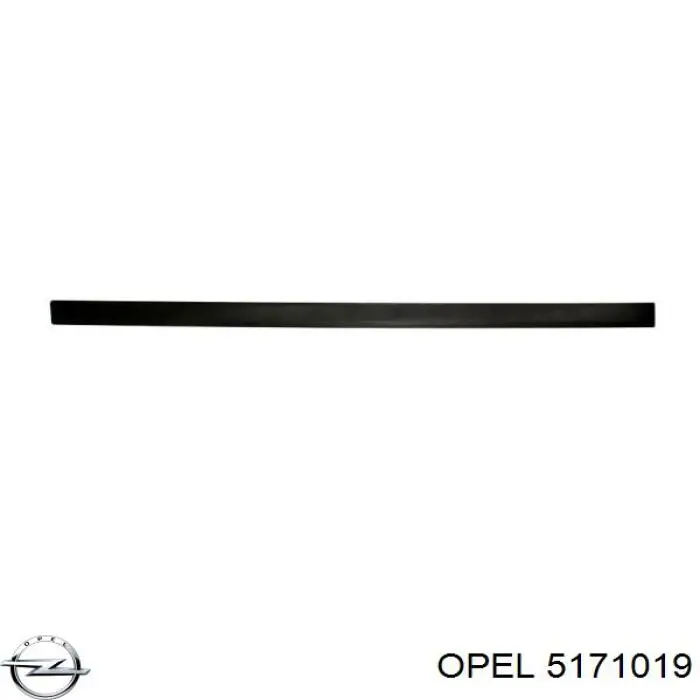 Молдинг передньої лівої двері Opel 9227285 ціна, від 14.17 USD
