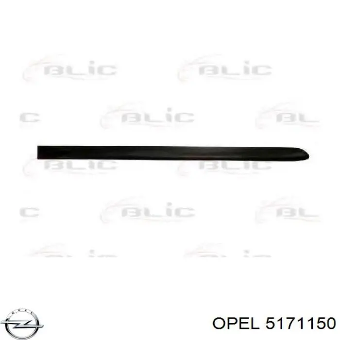 Купити 9118838 Opel 