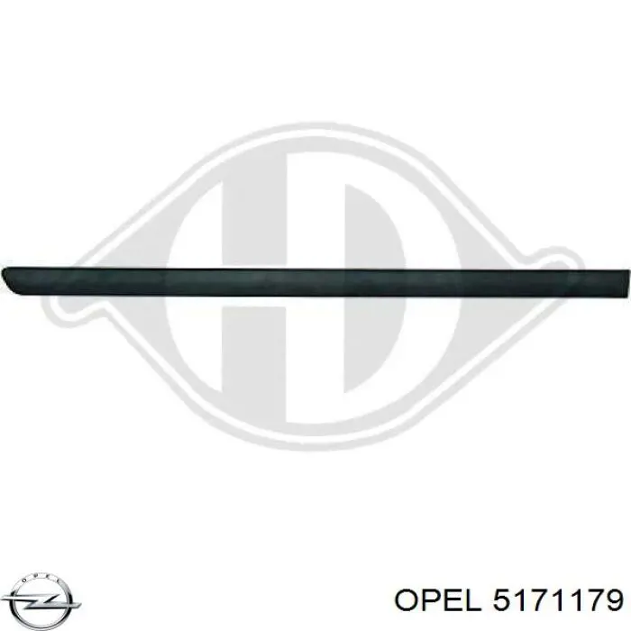 5171179 Opel молдинг задніх лівих дверей