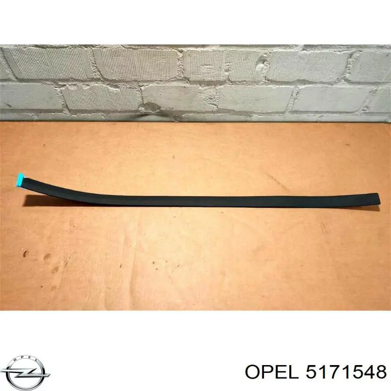 Купити 9227284 Opel Молдинг передньої правої двері