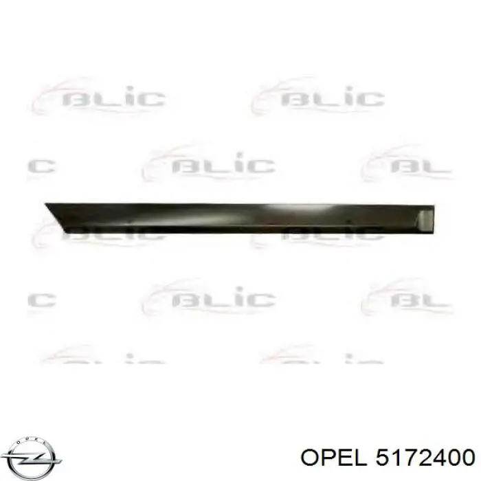 Молдинг задніх правих дверей Opel 5172400 ціна, від 41.34 USD