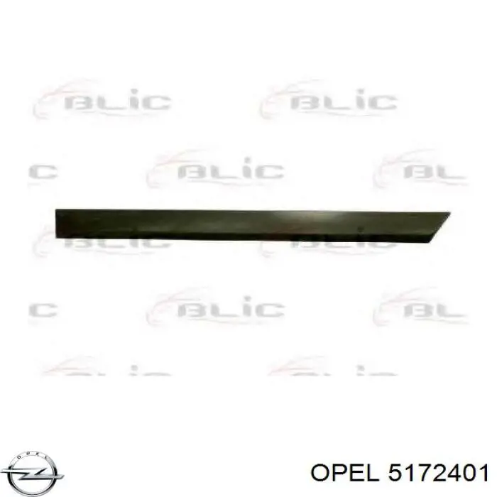 Молдинг задніх лівих дверей Opel 5172401 ціна, від 19.00 USD