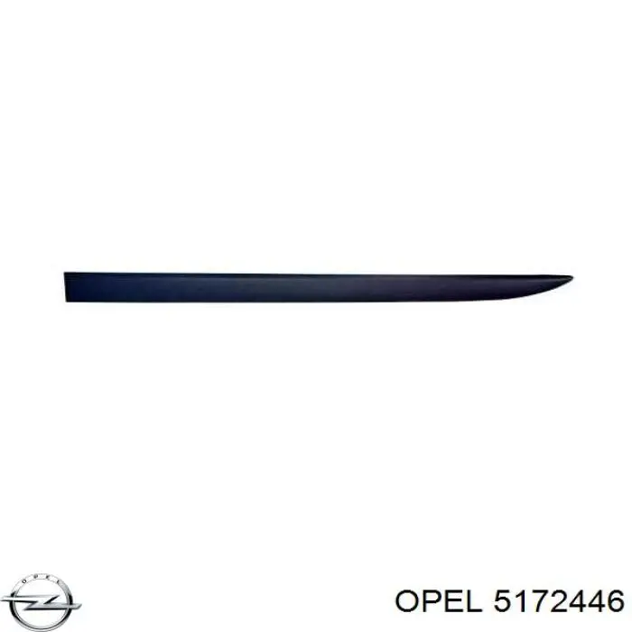 5172446 Opel Молдинг передніх лівих дверей