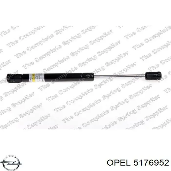 Амортизатор двері задньої Opel 5176952 ціна, від 6.25 USD