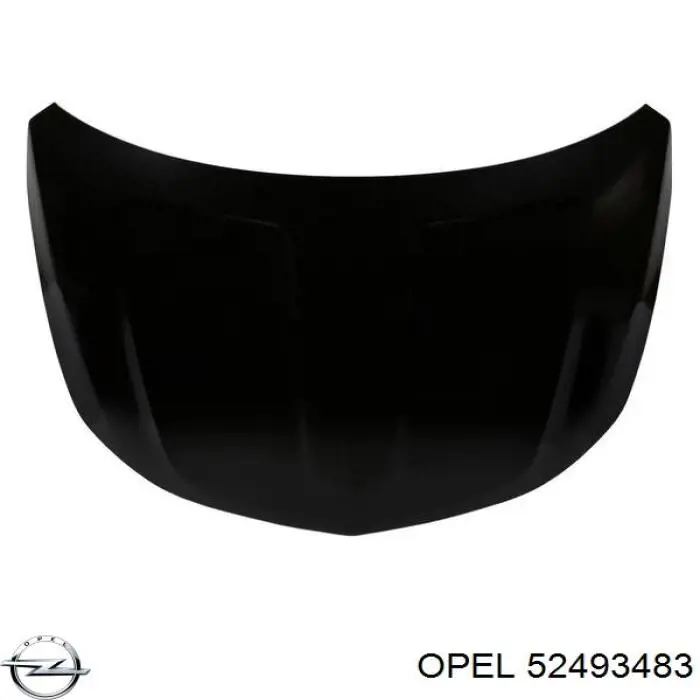  Opel 52493483 ціна, від 1.47 USD