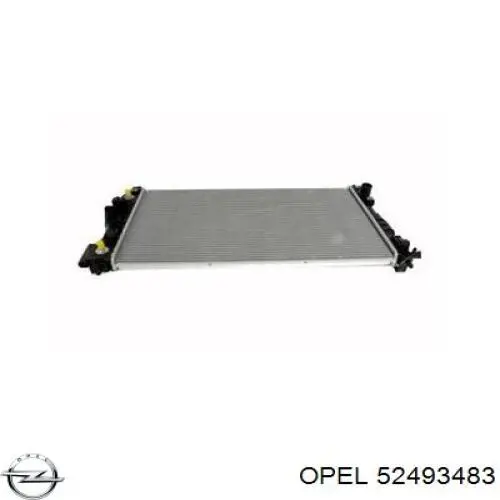 Купити 52493483 Opel 