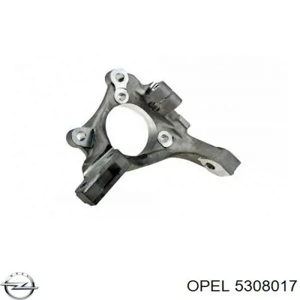 Цапфа поворотного кулака Opel 5308017 ціна, від 56.31 USD