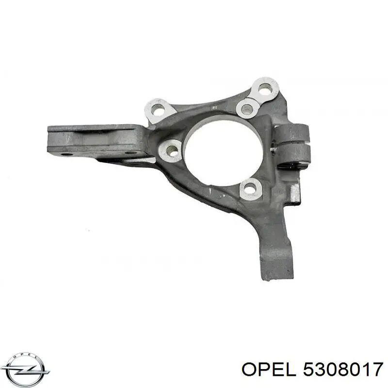 Купити 5308017 Opel Цапфа передня ліва