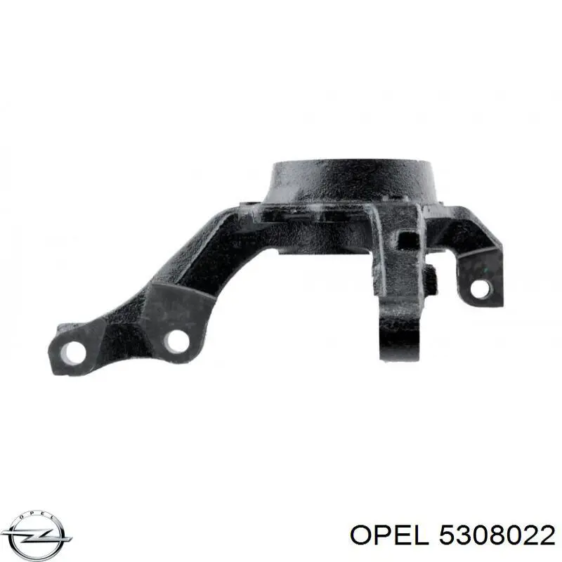 Купити KN20109501R Optimal Кулак поворотний передній правий