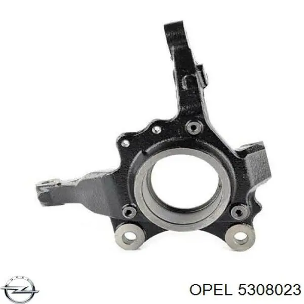 Цапфа поворотна ліва Opel 5308023 ціна, від 52.71 USD