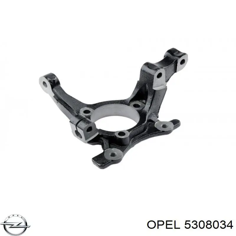 Цапфа поворотна ліва Opel 5308034 ціна, від 33.51 USD