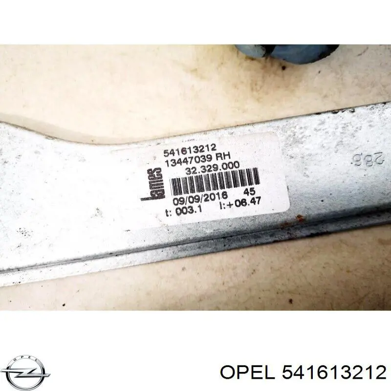  Renault (RVI) 541613212
