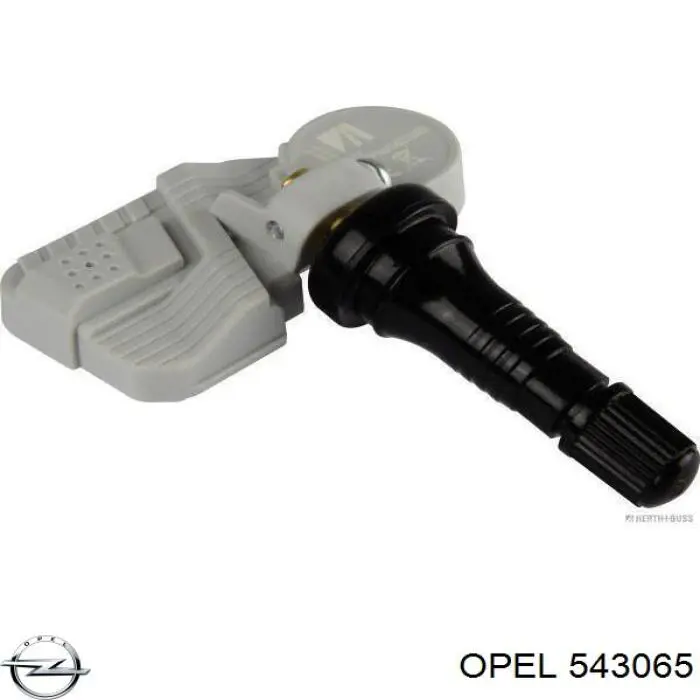 543065 Opel Кожух гальмівного диска
