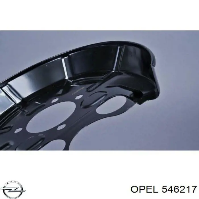 Захист гальмівного диска заднього, правого Opel 546217 ціна, від 18.43 USD