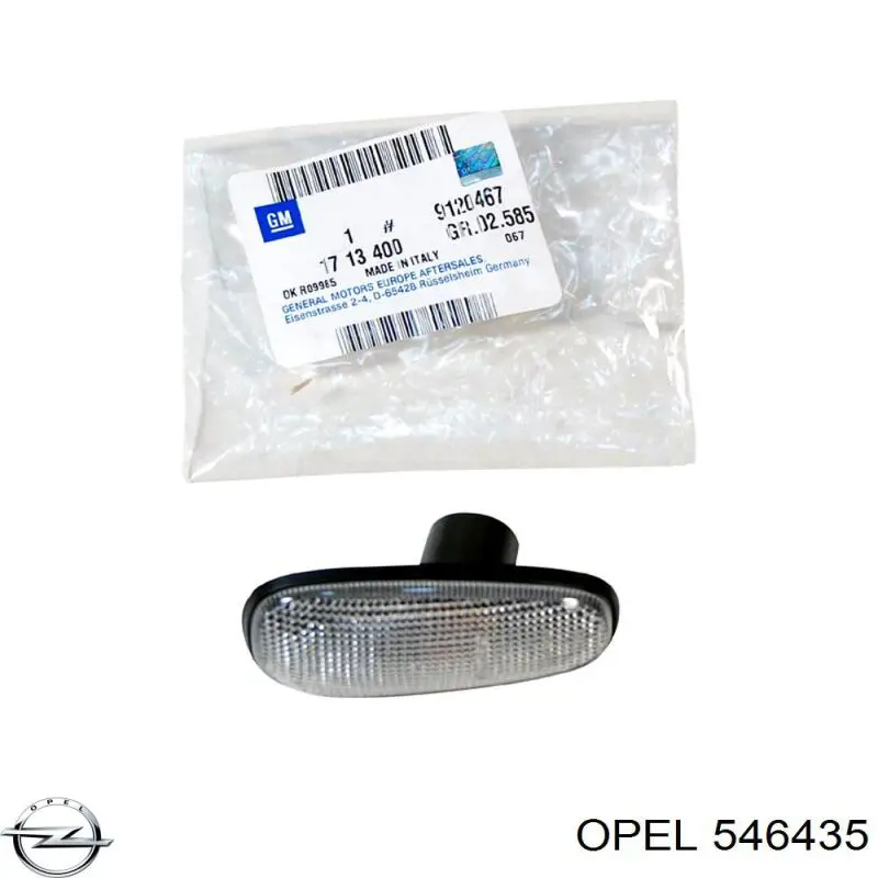 Захисний кожух гальмівного диска, заднього 546435 Opel