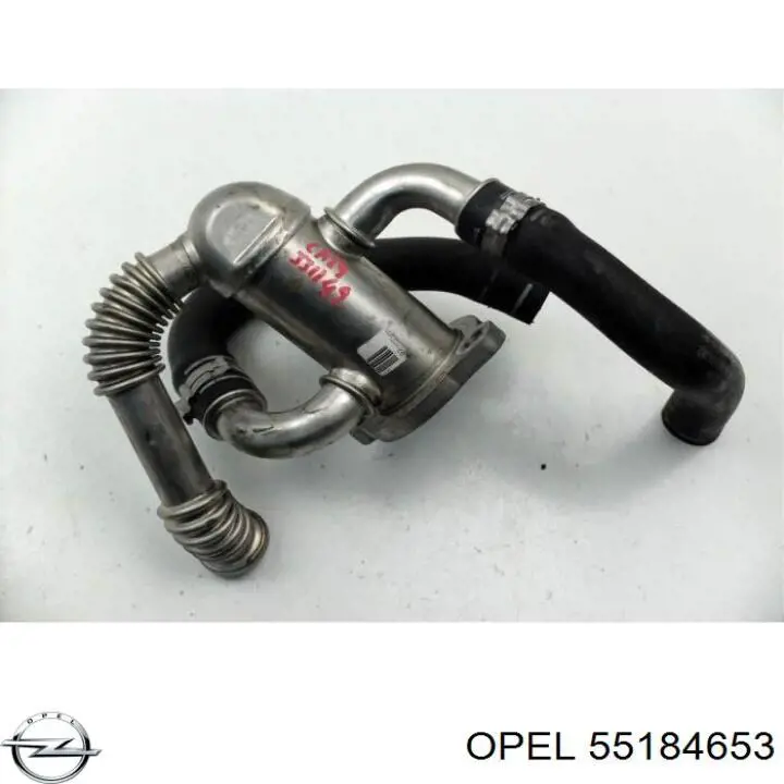 Купити 55184653 Opel Шланг (патрубок) радіатор EGR, відведення