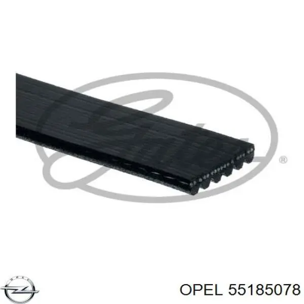 Ремінь генератора 55185078 Opel
