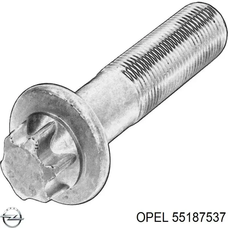 55187537 Opel болт кріплення маховика