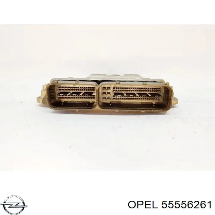 55556261 Opel Блок електронного управління