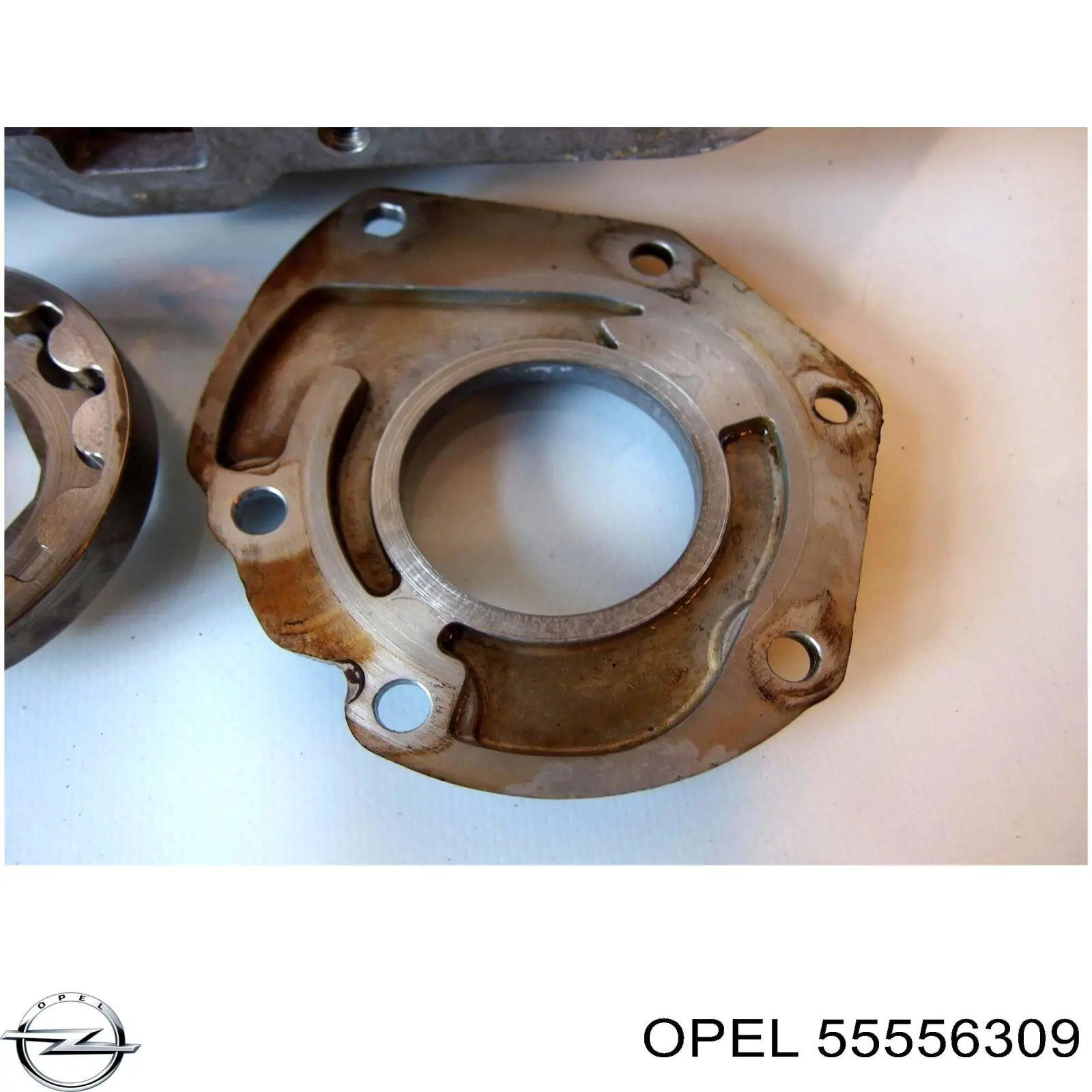 55556309 Opel 