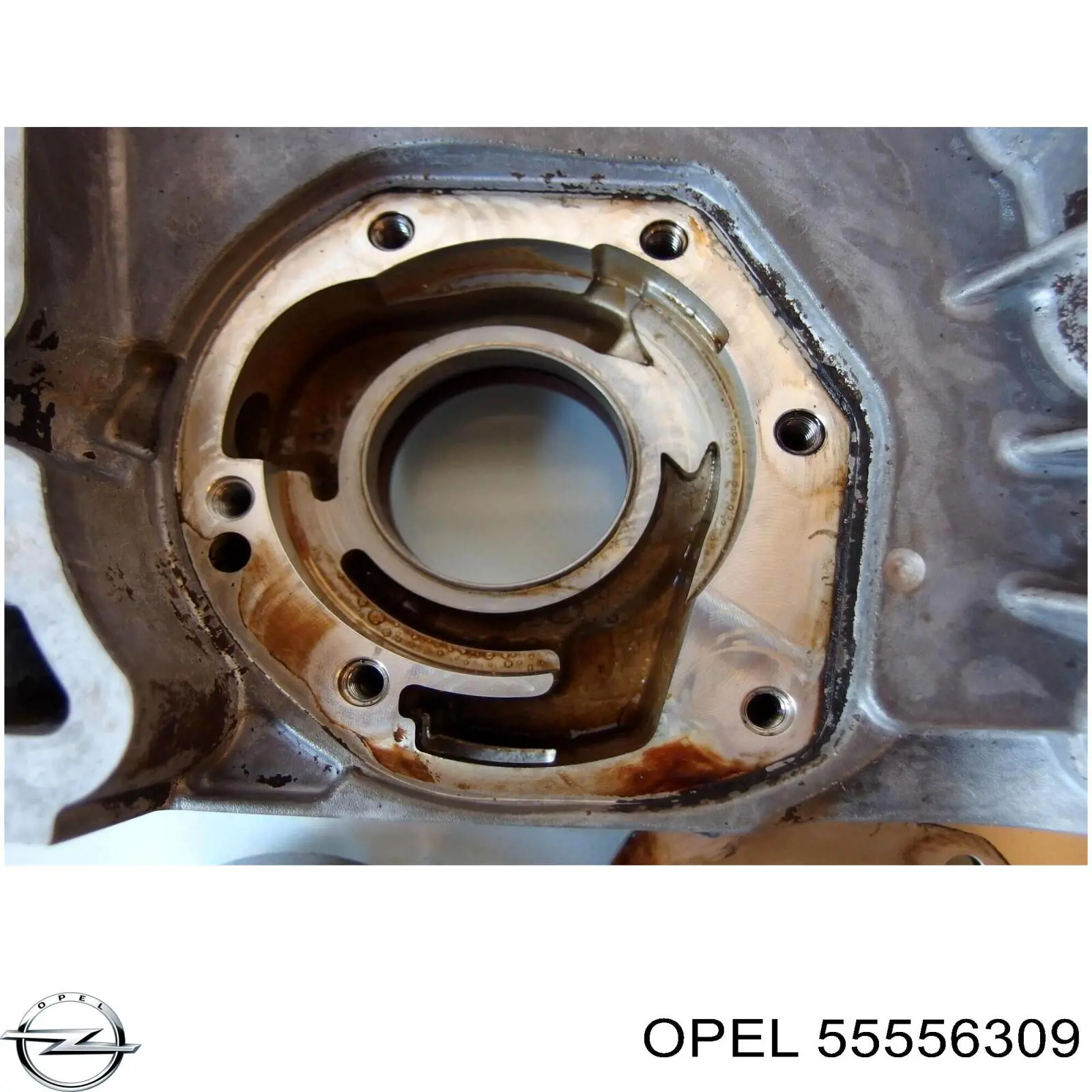 Купити 55556309 Opel 