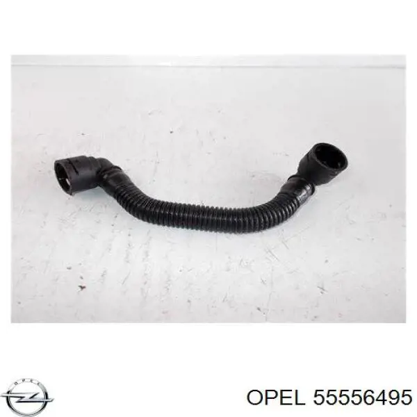 Купити 55556495 Opel Шланг для видалення повітря