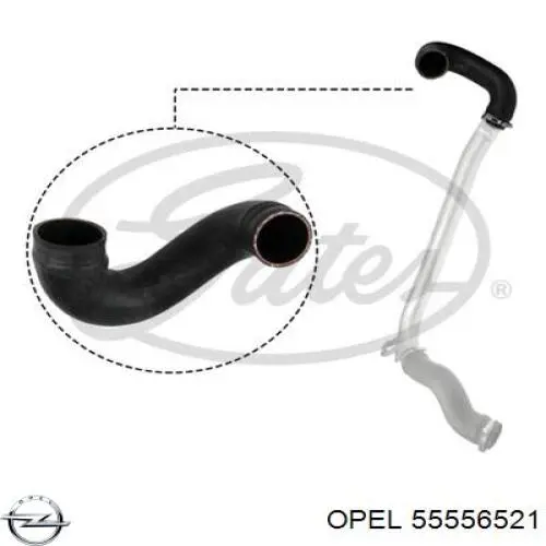  Thermotec DCX115TT ціна, від 37.71 USD