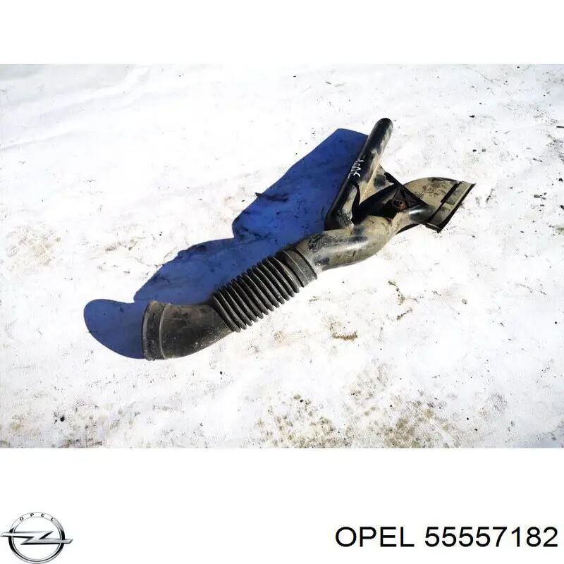  Opel 55557182 ціна, від 16.47 USD