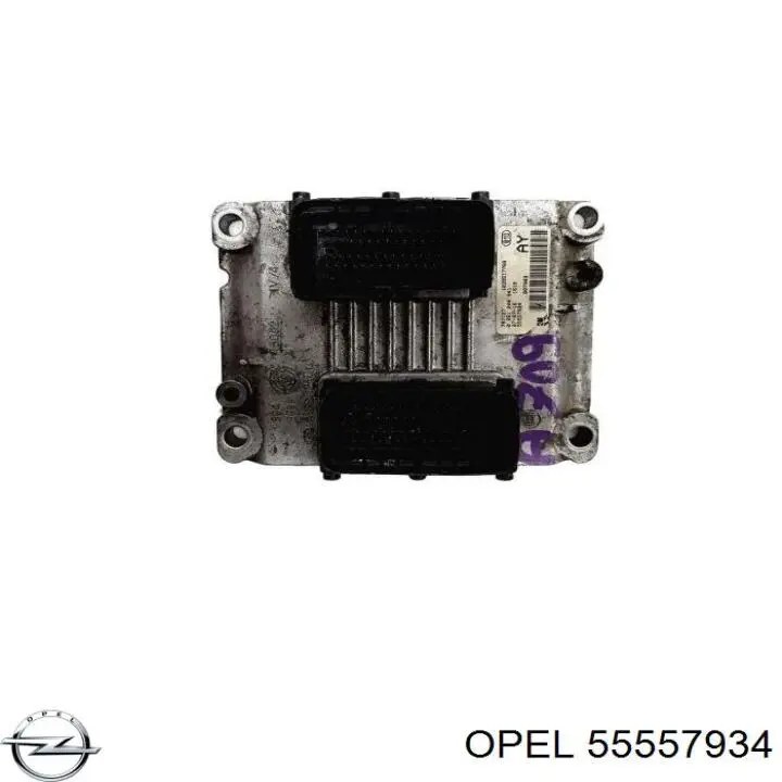 Електронний блок керування двигуном 55557934 Opel
