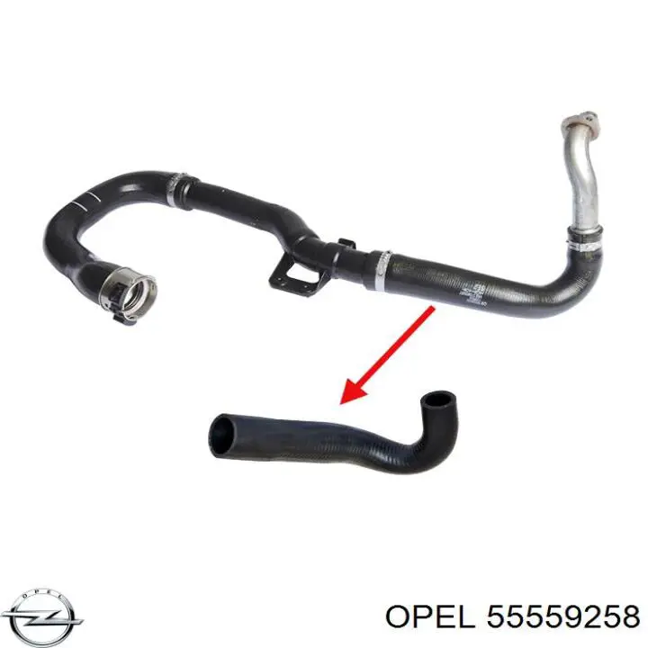 Купити 55559258 Opel Шланг/патрубок интеркуллера