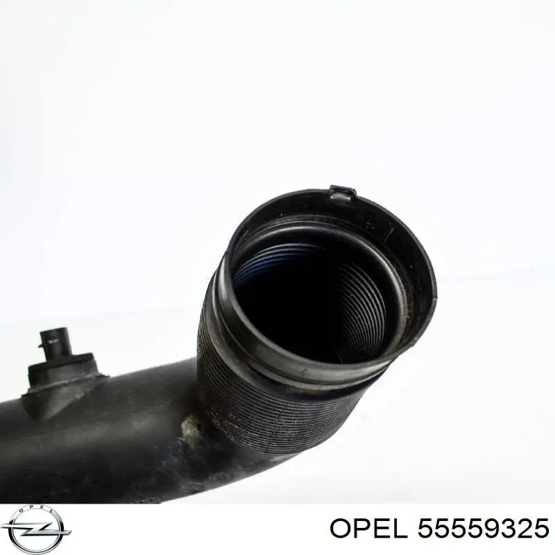 55559325 Opel 